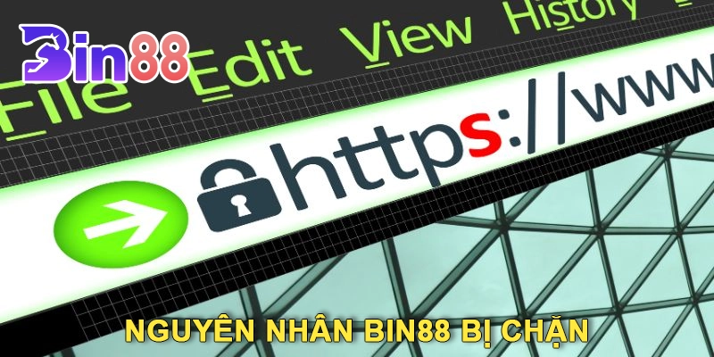 Nguyên Nhân Bin88 Bị Chặn