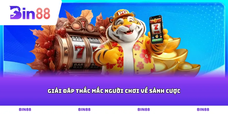 Giải đáp thắc mắc người chơi về sảnh cược