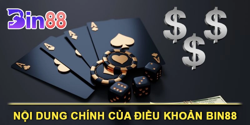 Nội Dung Chính Của Điều Khoản Bin88