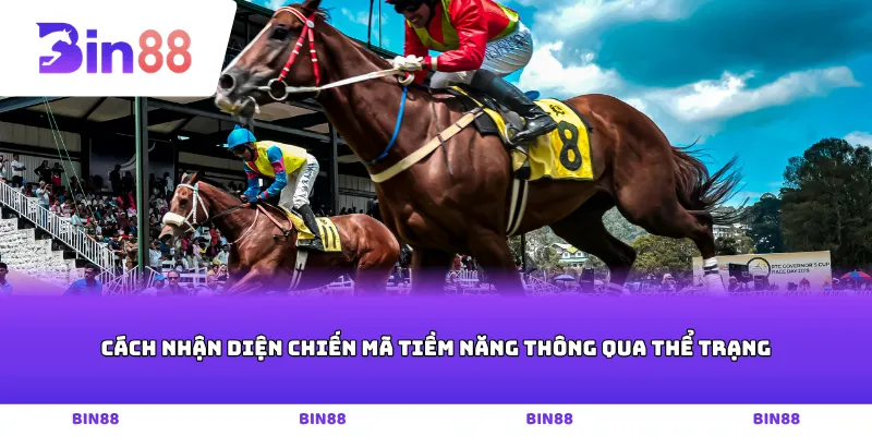 Cách nhận diện chiến mã tiềm năng thông qua thể trạng