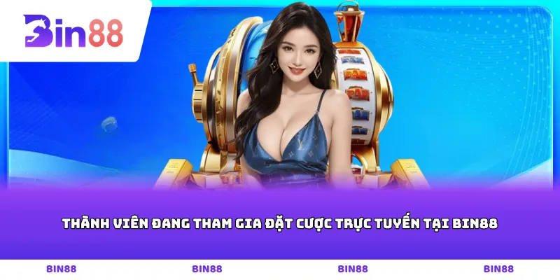 Thành viên đang tham gia đặt cược trực tuyến tại Bin88