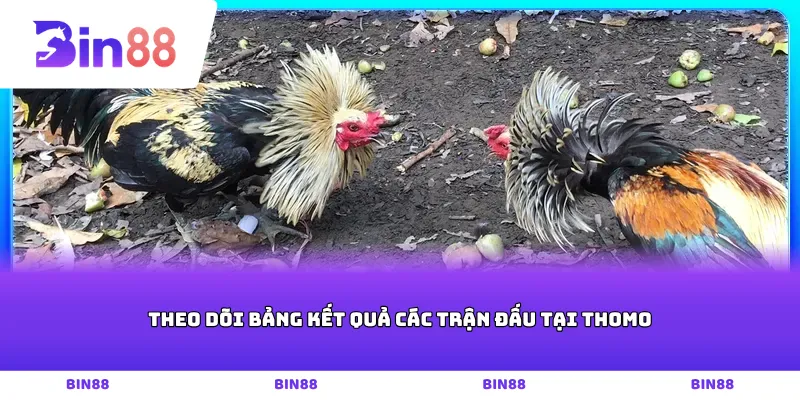 Theo dõi bảng kết quả các trận đấu tại Thomo